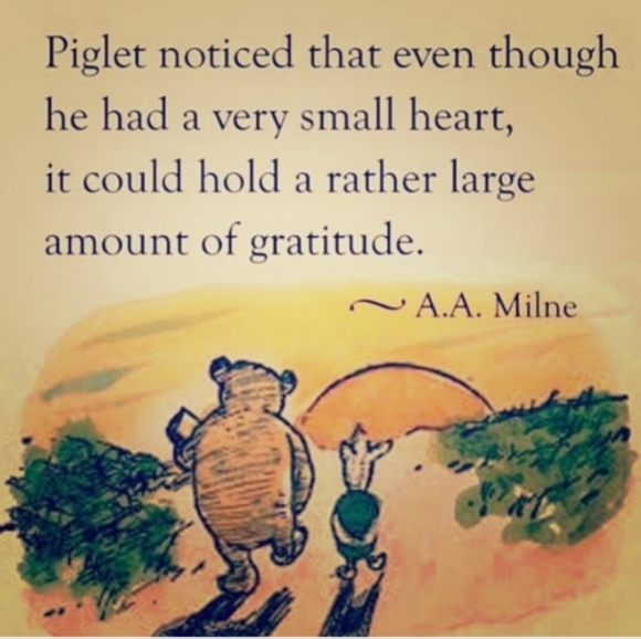 🪵 Vintage Original Lincoln Logs Toy Building Set - Picture 5 of 16